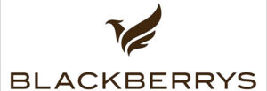 Blackberrys-New-Logo_6